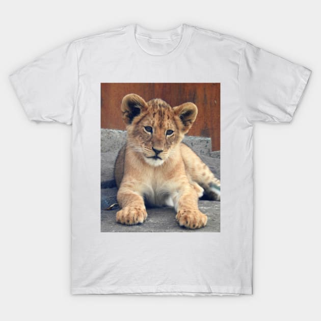 Lion Cub T-Shirt by kirstybush